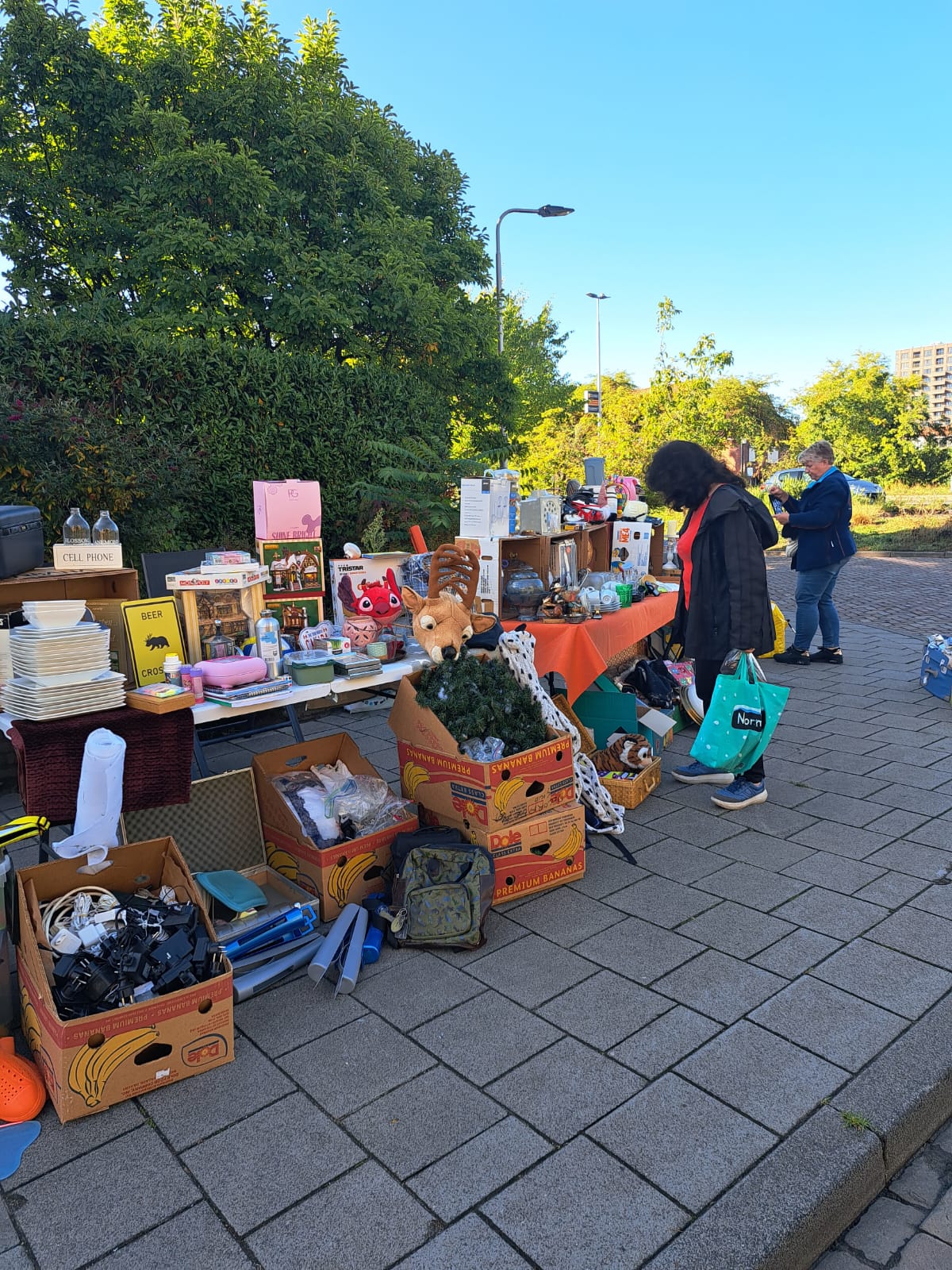 Kraam vol curiosa, boeken en knuffels